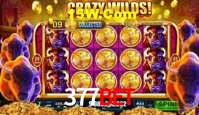 Promoção Relâmpago 377Bet